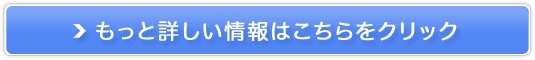 i`Ct̋@\\HiTt̔TCg